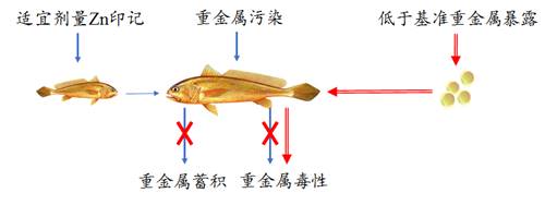 http://news.zjou.edu.cn/__local/6/37/07/30FFBBA8C498CCAEE5388B72FCC_C28A3004_B95A.png