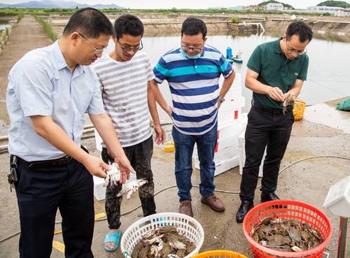 http://news.zjou.edu.cn/__local/A/0A/CF/AAF07DEEFA3F673F57A98585D5F_5E805632_3C3995.jpg
