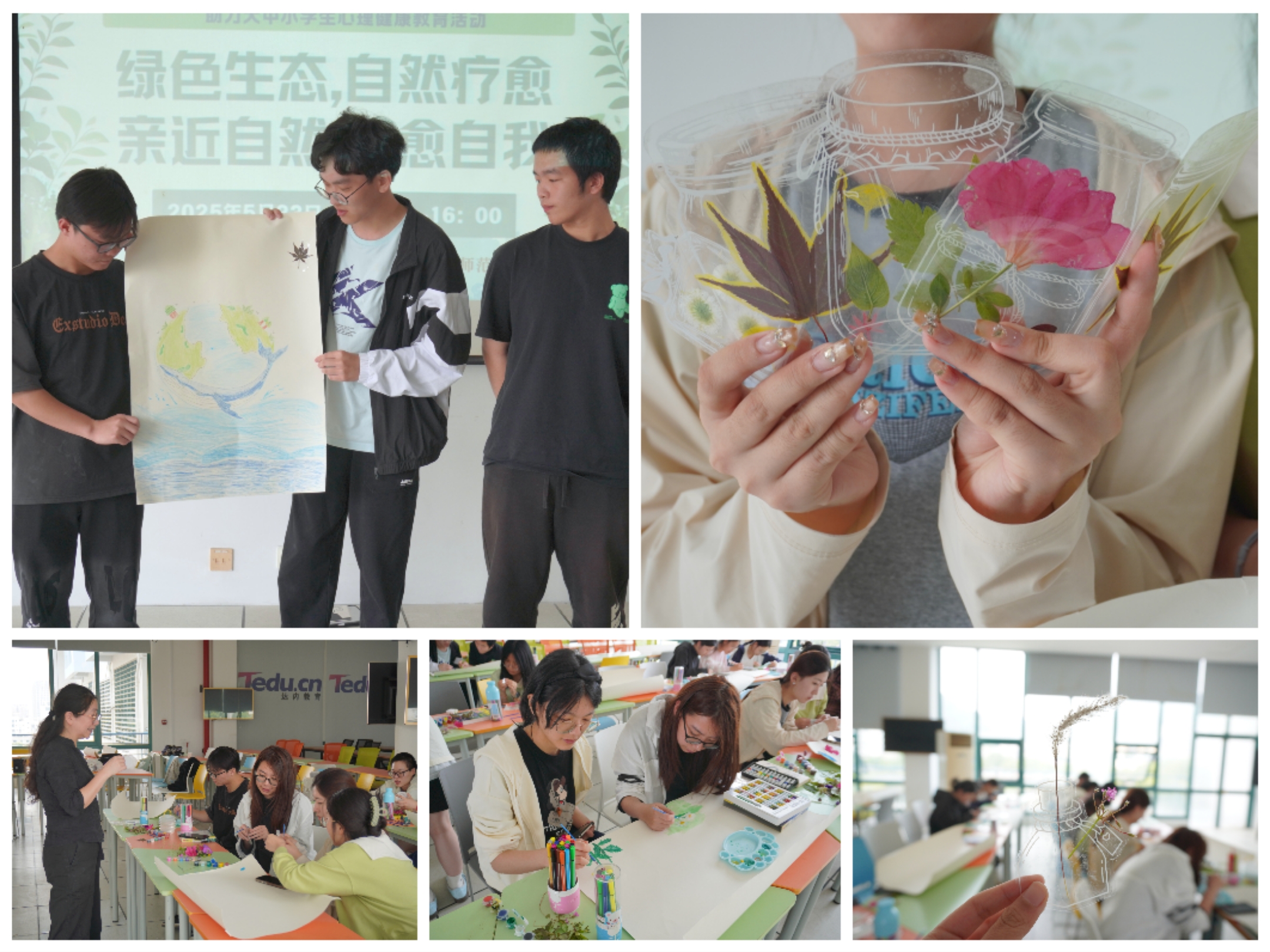 锦章同心行动“绿色生态 自然疗愈”科普活动.jpg