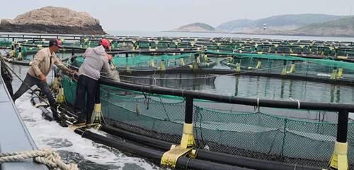 http://news.zjou.edu.cn/__local/1/55/4C/2F8E4DD670BFD0BB7F65434C42C_F177F3D4_1DEF8.jpeg